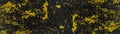 Black golden festive rustic grunge abstract exfoliated painted spotted texture background pattern template design