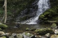 Black, wet dog playing fetch at base of a mountain waterfall.