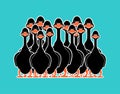 Black goose flock isolated cartoon. domestic waterfowl family. vector illustration