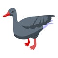 Black goose icon, isometric style