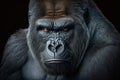 Black gorilla portrait. Illustration Generative AI Royalty Free Stock Photo