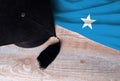 Black graduation hat on Somalia flag, education concept, top view