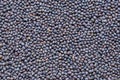 Black Gram Lentils or Skinned Urad Dal, closeup