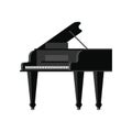 Black grand piano isolated. Musical instrument Vector illustration