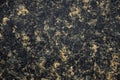Black granite with golden veins, close-up of polished natural stone surface Royalty Free Stock Photo