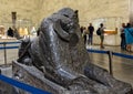 Black granite Sphinx of King Amenemhat III on display in the National Museum of Egyptian Civilization in Cairo, Egypt.