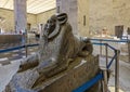 Black granite Sphinx of King Amenemhat III on display in the National Museum of Egyptian Civilization in Cairo, Egypt.