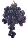 Black grape