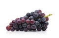 Black grape cluster Royalty Free Stock Photo