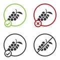 Black Grape fruit icon isolated on white background. Circle button. Vector Royalty Free Stock Photo