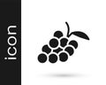 Black Grape fruit icon isolated on white background. Vector Royalty Free Stock Photo