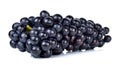 Black grape isolated on over white background Royalty Free Stock Photo