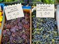 Black Grape Varieties at Greek Street Market