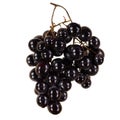 Black grapes