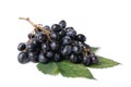 Black Grapes Royalty Free Stock Photo