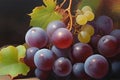 Black Grapes Bunch Watercolor Painting. generative AI Royalty Free Stock Photo