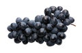 Black grapes Royalty Free Stock Photo