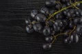 Fresh raw black grape on black wood