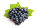 Black grapes Royalty Free Stock Photo