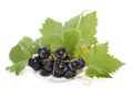 Black grapes Royalty Free Stock Photo