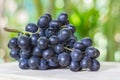 Black grapes on wooden