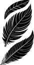 black graphic contour drawing of three bird feathers, logo