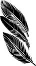black graphic contour drawing of three bird feathers, logo