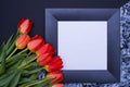 On a black and gray background, red tulips on the left side, black frame with a white background Royalty Free Stock Photo