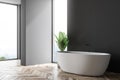 Black and gray bathroom corner, white tub Royalty Free Stock Photo