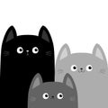 Black gray cat head face set. Different size big small middle. Cats family. Cute cartoon funny character. Pet baby collection.