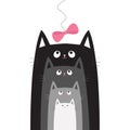 Black gray cat head looking at pink bow hanging on thread.