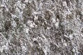 Black gray stone texture surface Royalty Free Stock Photo