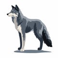 Stylized Grey Wolf Standing On White Background
