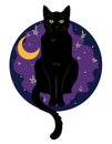 Black green-eyed cat sitting on a background of night sky with moon and stars Royalty Free Stock Photo