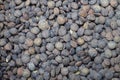 Black and green lentils background Royalty Free Stock Photo