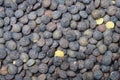Black and green lentils background Royalty Free Stock Photo