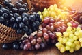 Black, green and purple grapes. Ripe bunches of grapes in a basket