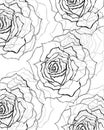 Black,grey rose background