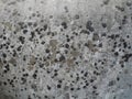 Mottled Grey Concrete Texture Background Royalty Free Stock Photo