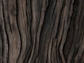 Black grunge background. Burned wood texture