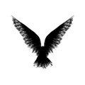 Black grunge raven silhouette