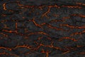 Black grunge teture of burnt wood with orange flame cracks Royalty Free Stock Photo