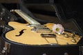 Black guitar case with closeup of electric guitar and flower Royalty Free Stock Photo