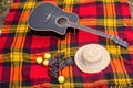 Black guitar with grapes and apples lies on a red plaid in the park Royalty Free Stock Photo