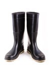 Black gum boots Royalty Free Stock Photo