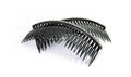 Black hair comb decorate diamond on white background Royalty Free Stock Photo