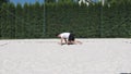 Black-haired, sinewy athlete warms up before a match on a beach volleyball court. An athlete demonstrates the bear walk