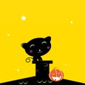Black Halloween cat silhouette on the roof Royalty Free Stock Photo