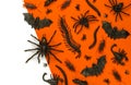 Black Halloween creepy crawly bugs and spiders on orange background with blank white space for text Royalty Free Stock Photo