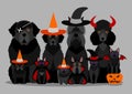 Black halloween dogs and cats group Royalty Free Stock Photo